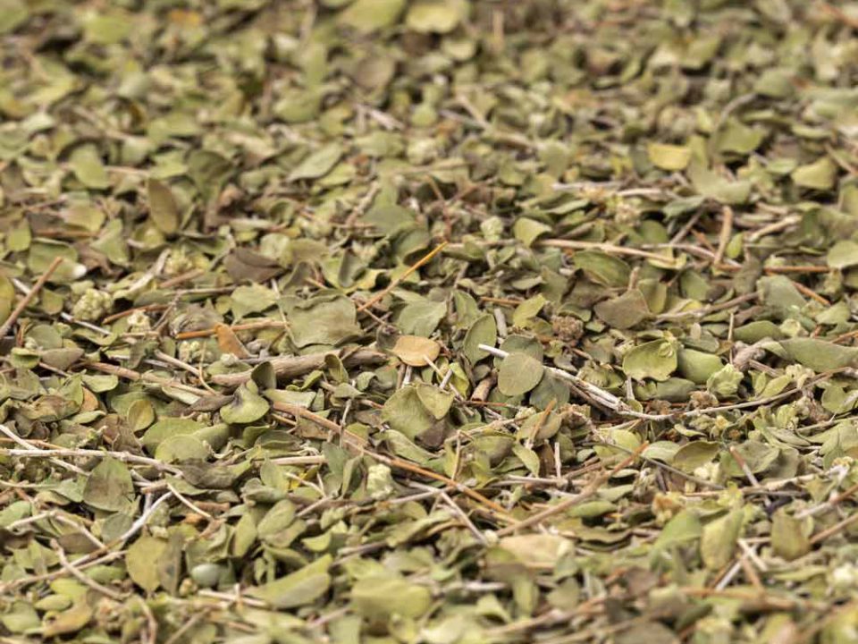 Complete drying of the leaves