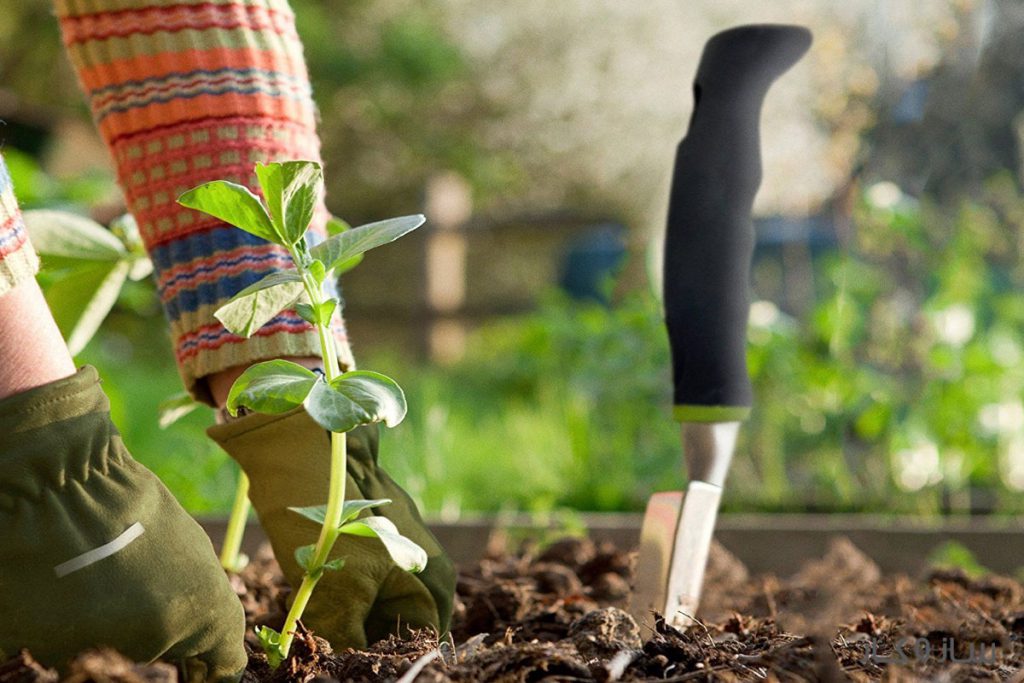 نکات کلیدی برای آماده‌سازی باغچه در زمستان برای بهار