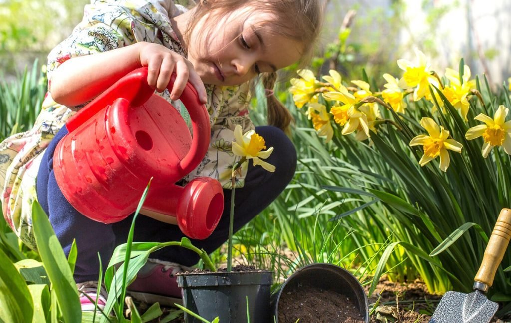 نکات کلیدی برای آماده‌سازی باغچه در زمستان برای بهار