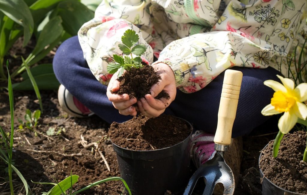 نکات کلیدی برای آماده‌سازی باغچه در زمستان برای بهار